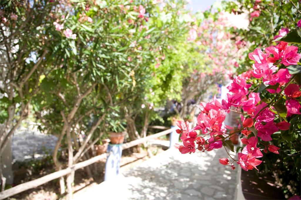 L'Oasi Villaggio Albergo Favignana Bagian luar foto